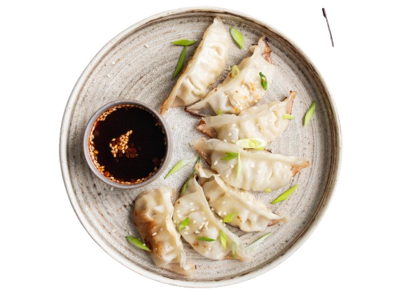 Handmade Dumplings